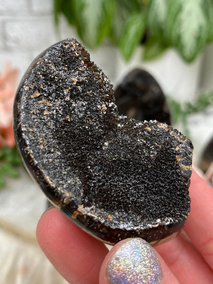 Septarian Eggs & Pieces