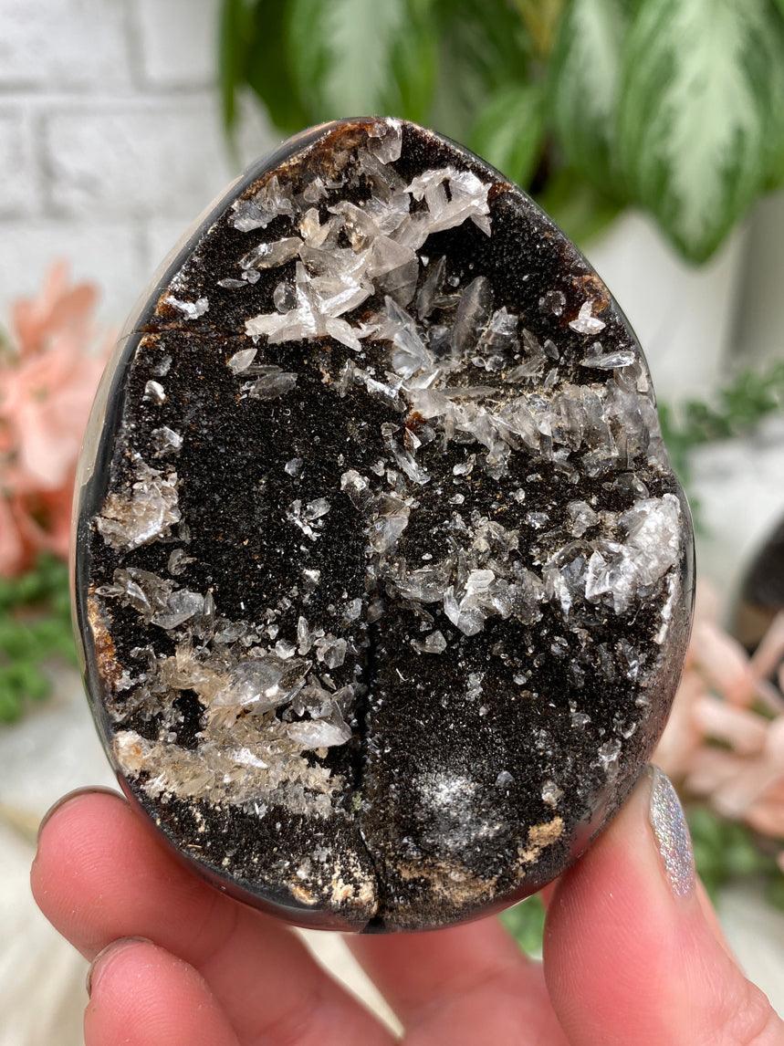 septarian-egg-for-sale