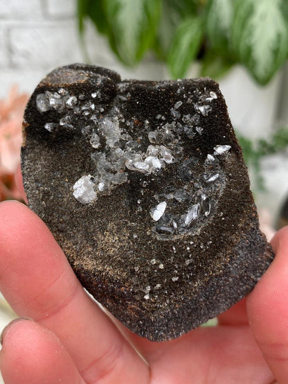 Septarian Eggs & Pieces