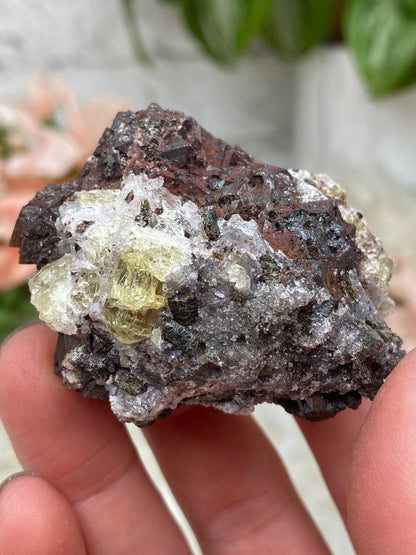 yellow-apatite-in-dark-matrix