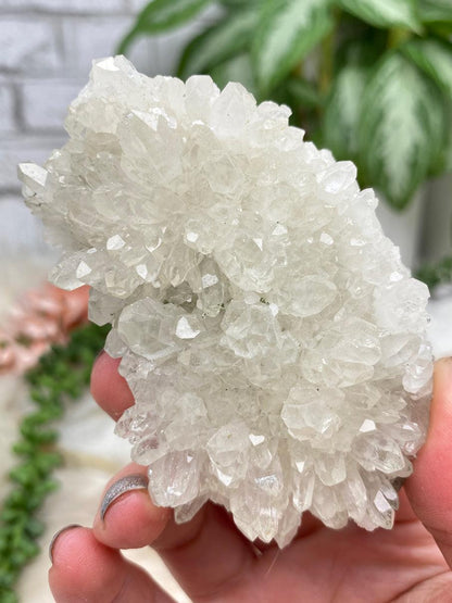 bulgarian-sphalerite-galena