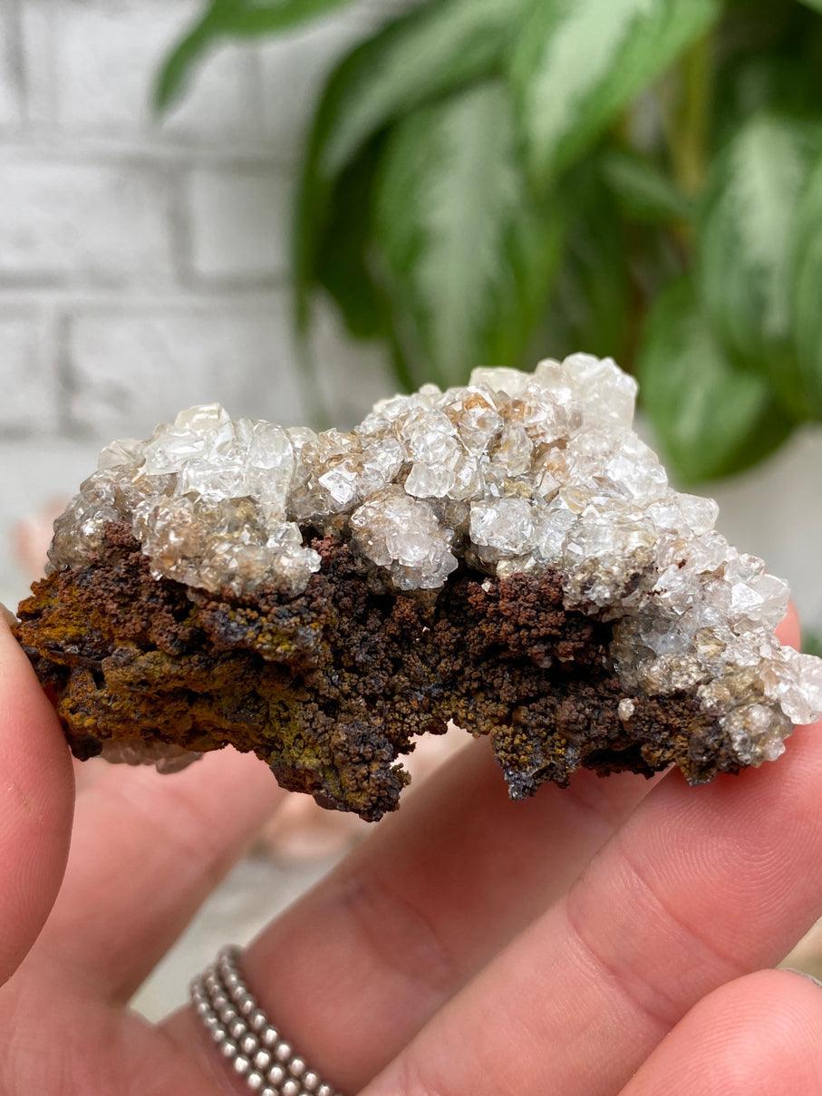 Mexico Goethite Chalcedony Specimens