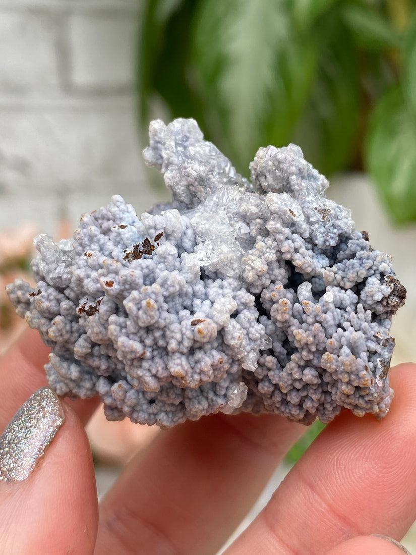 Mexico Goethite Chalcedony Specimens