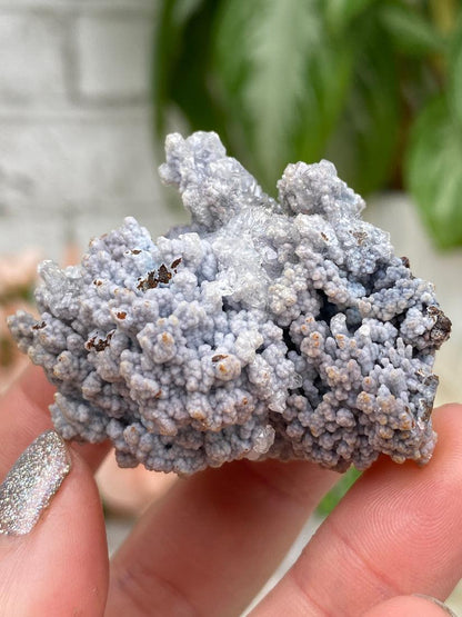 Mexico Goethite Chalcedony Specimens
