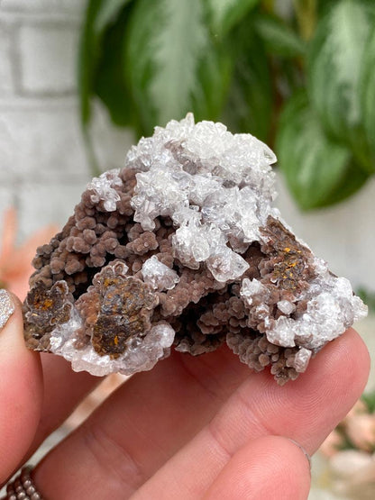 Mexico Goethite Chalcedony Specimens