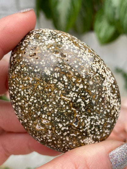 red-orbicular-jasper