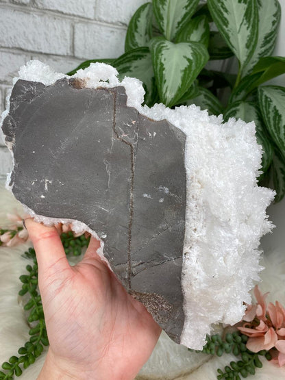 White-Aragonite-Pink-Hematite-Spot