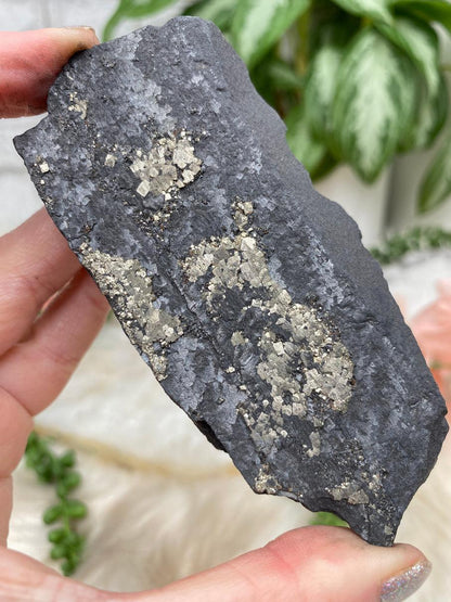 black-basalt-gold-pyrite-for-sale