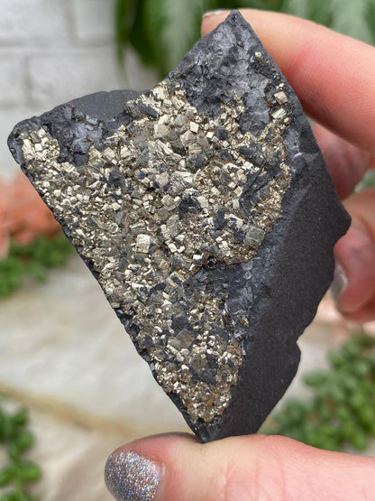 black-basalt-gold-pyrite-for-sale