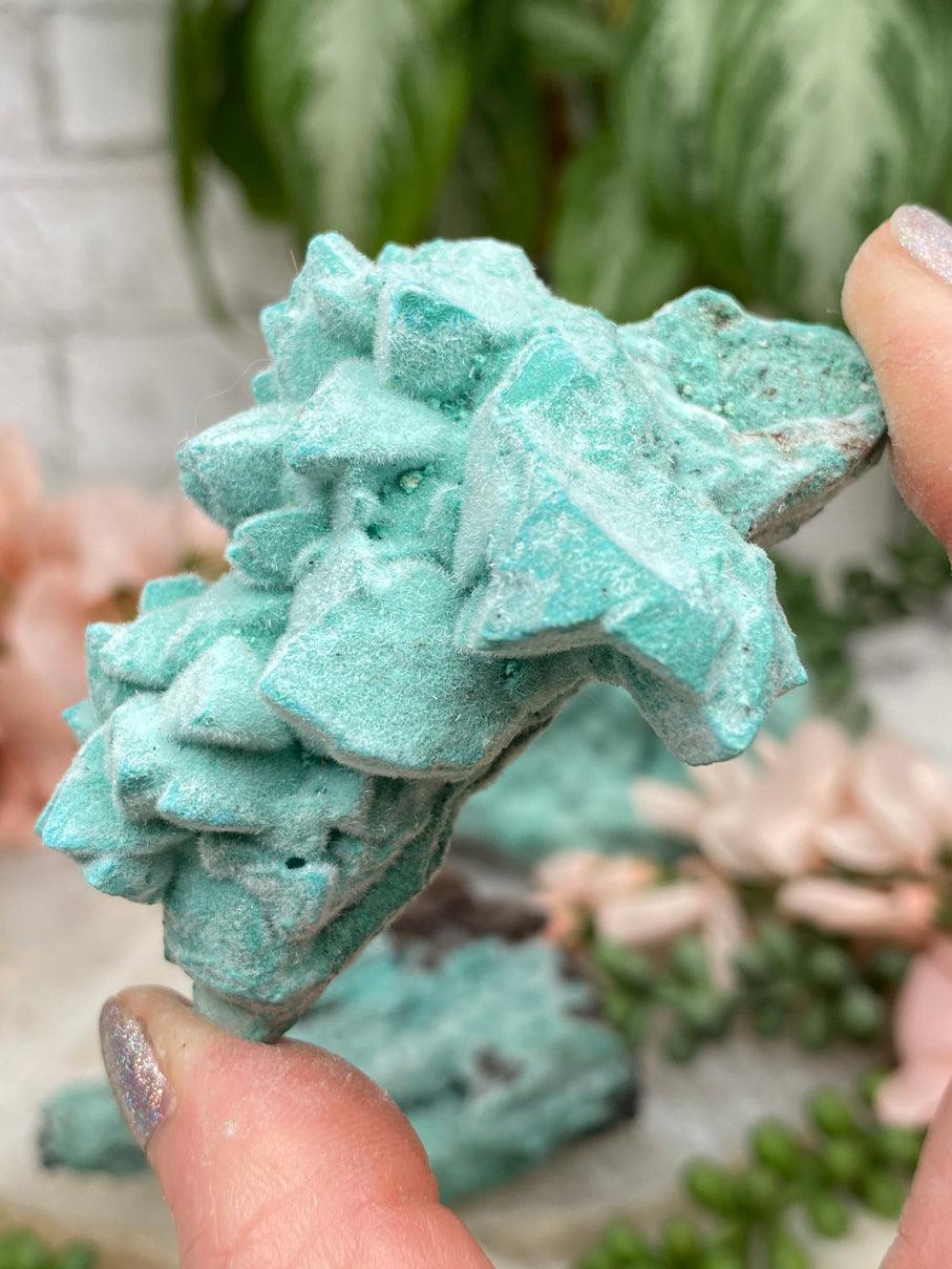 dogtooth-kobyashevite