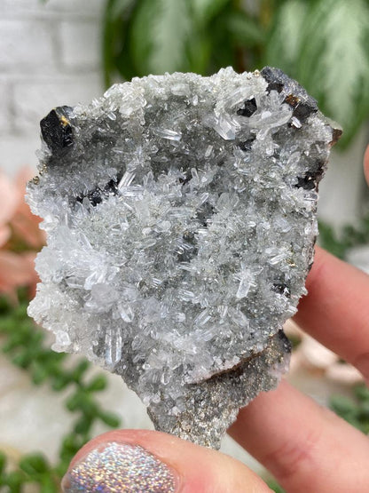 Peru Pyrite on Quartz