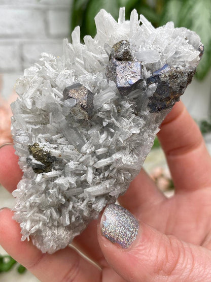 Peru Pyrite on Quartz