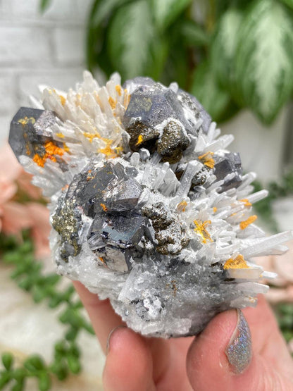 Peru Pyrite on Quartz