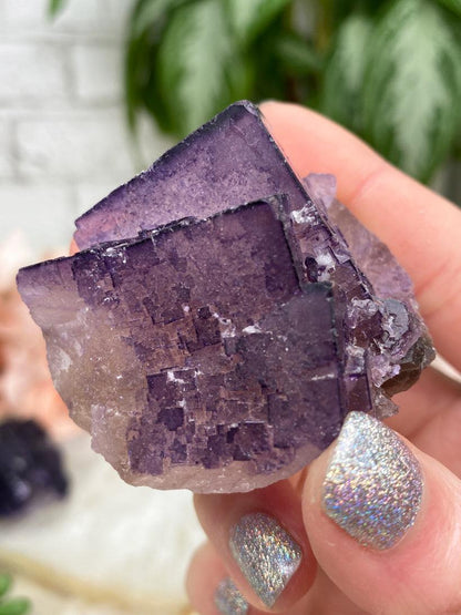 Musquiz Fluorite
