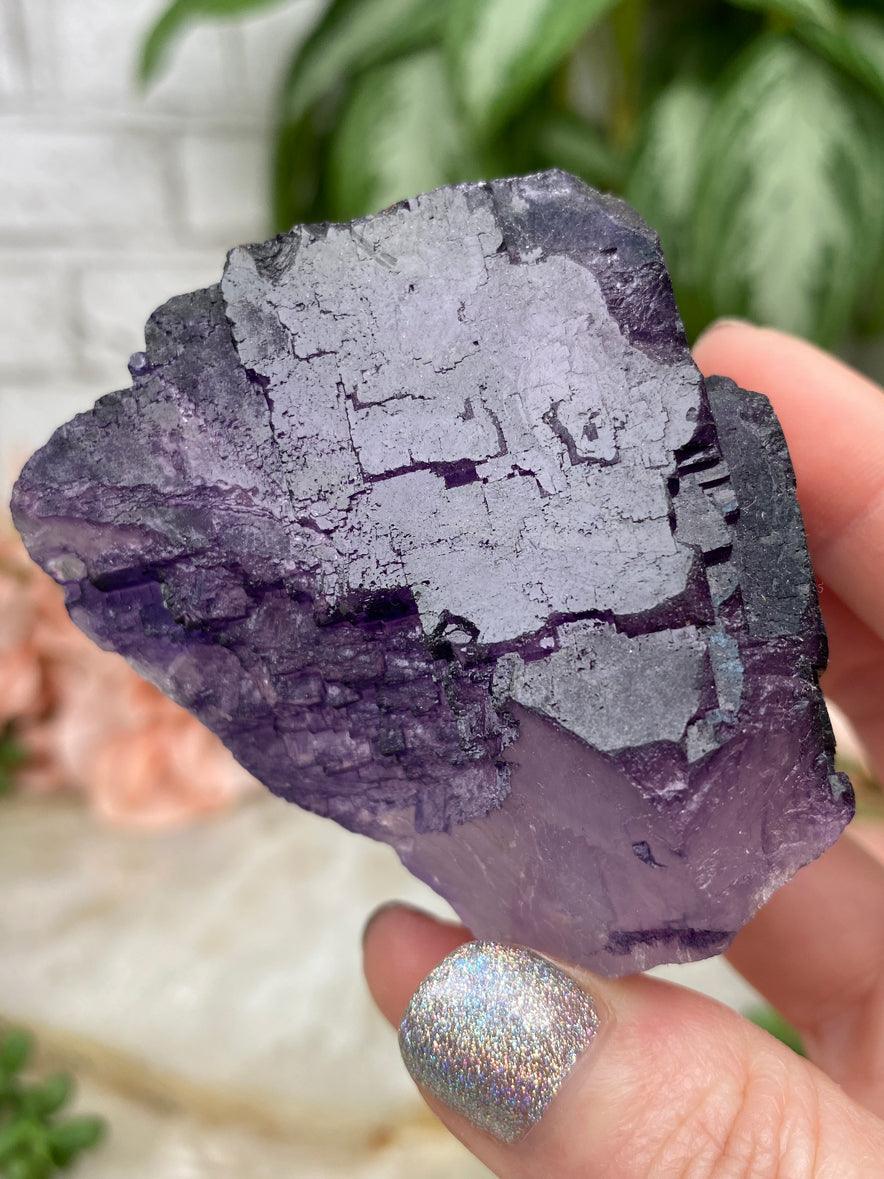 dark-purple-musquiz-fluorite-cluster