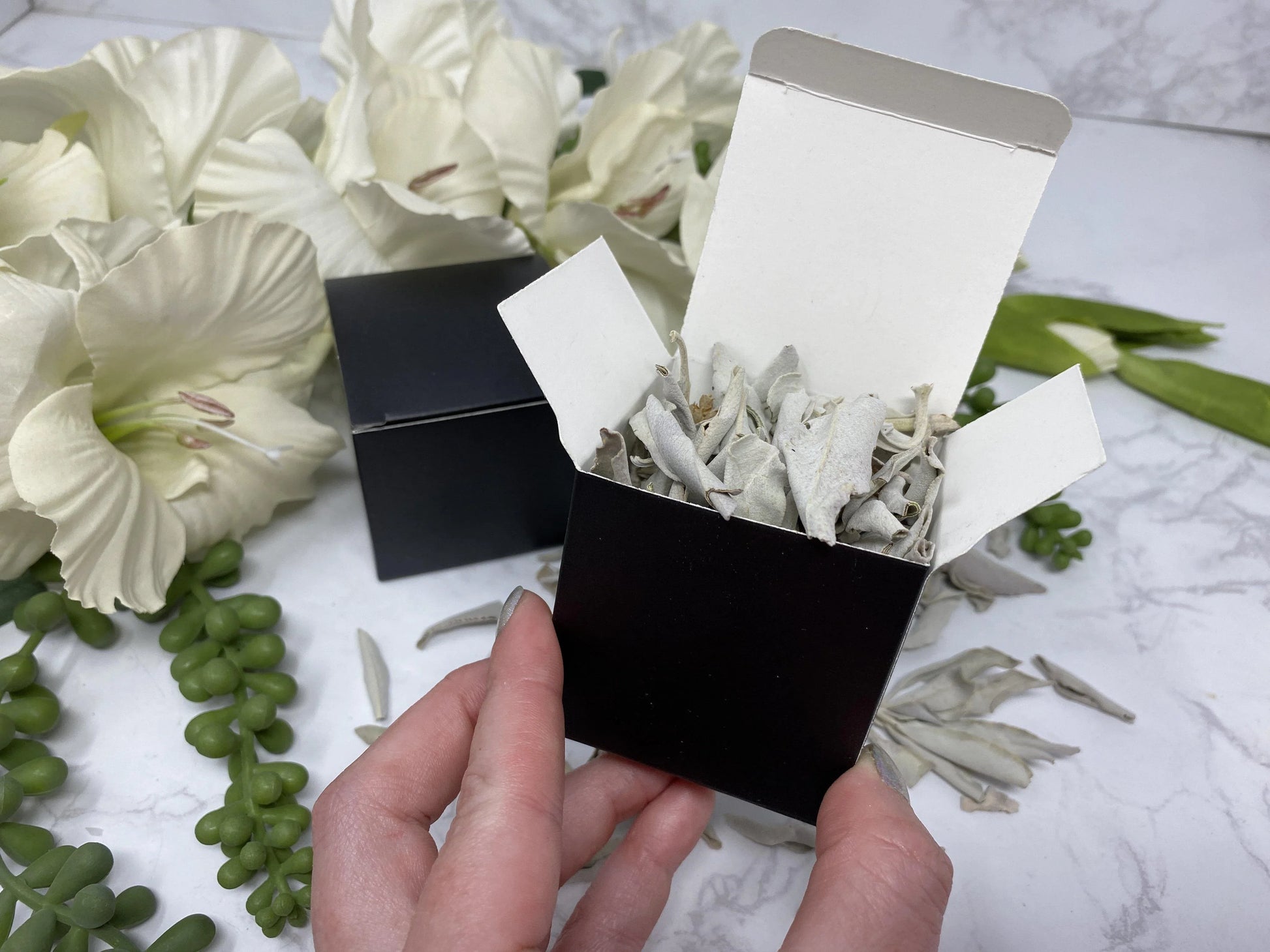 White Sage Smudge Box of Leaves