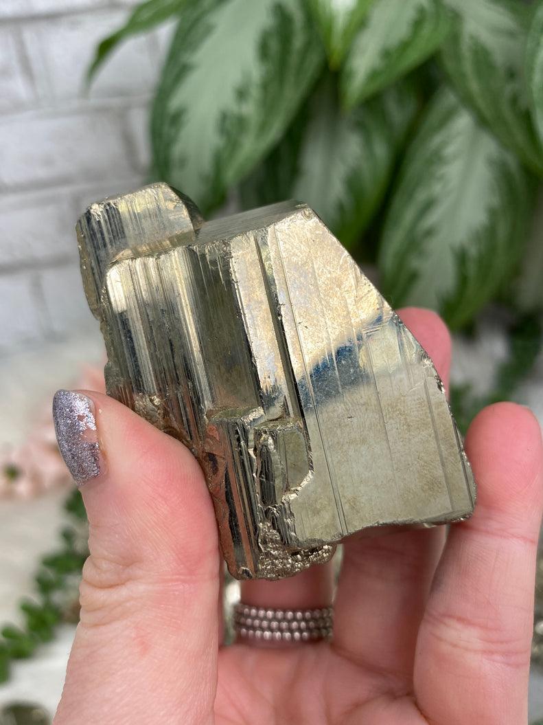 Sparkling-Gold-Pyrite-Cluster