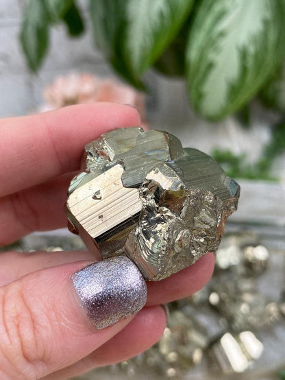 Golden-Pyrite-Clusters