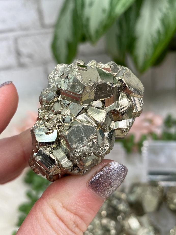 Sparkling-Gold-Pyrite