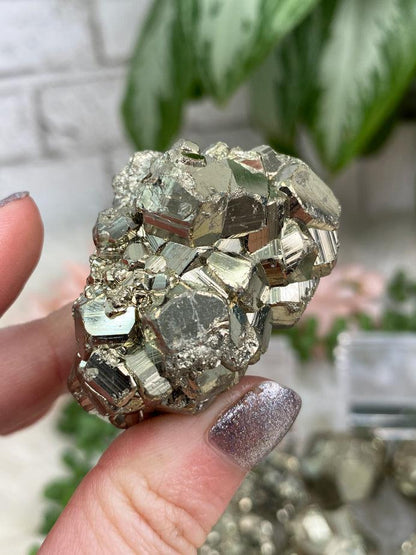 Sparkling-Gold-Pyrite
