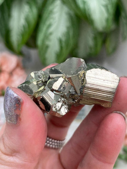 Small Pyrite Clusters