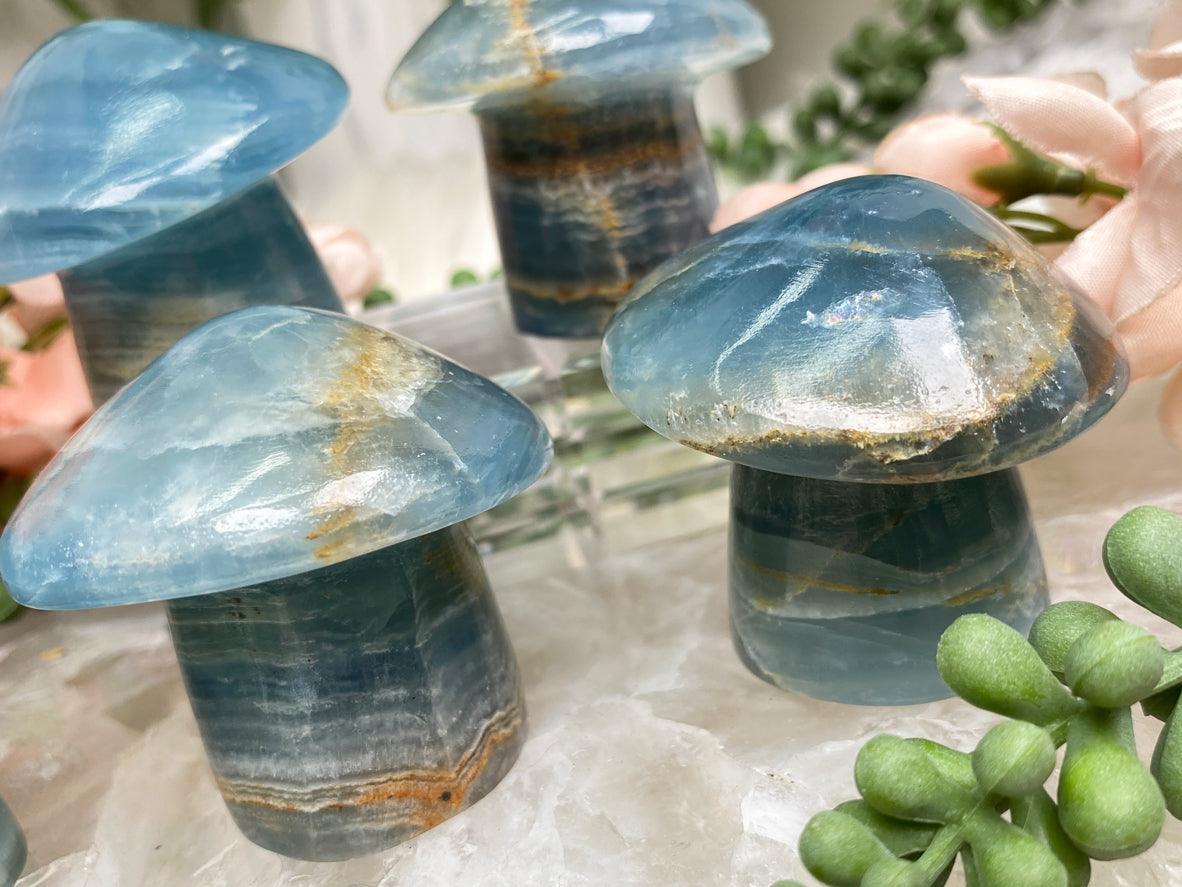 blue-onyx-mushrooms