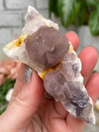 pink-purple-white-fluorite-cluster