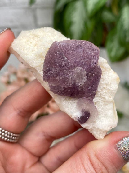Mexico Pink & Purple Fluorite