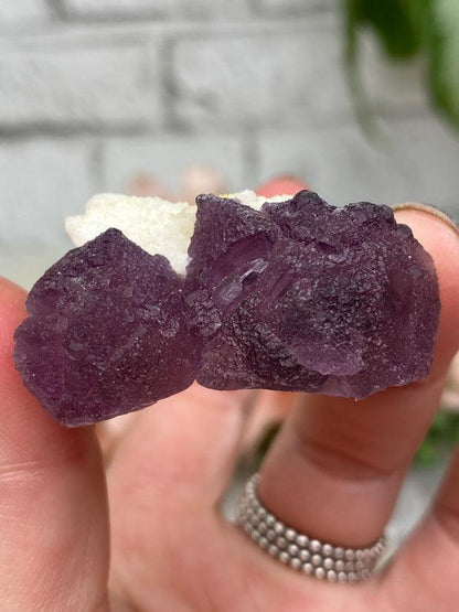 pink-purple-white-fluorite-cluster