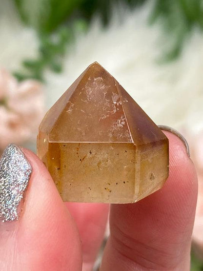 small-dream-coat-amethyst-purple-phantom