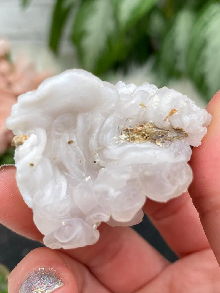 open-chalcedony-rose