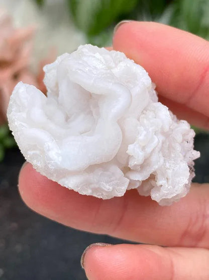 open-chalcedony-rose