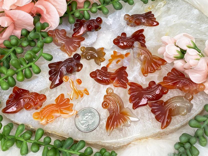 carnelian-fish