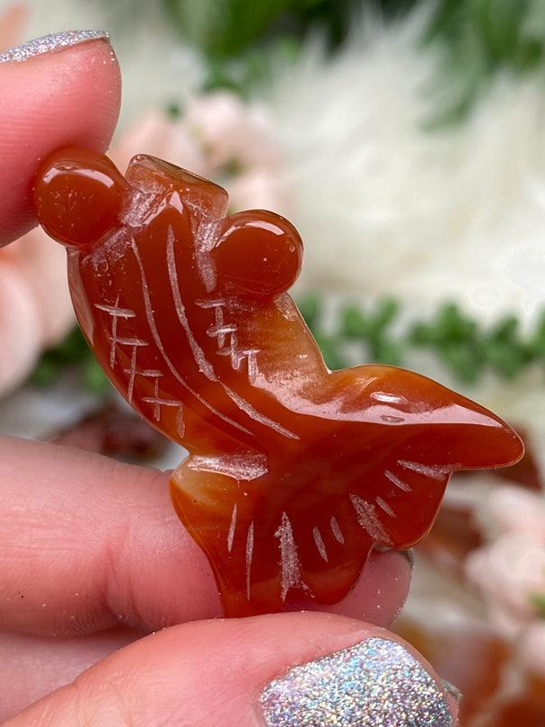 red-orange-carnelian-fish