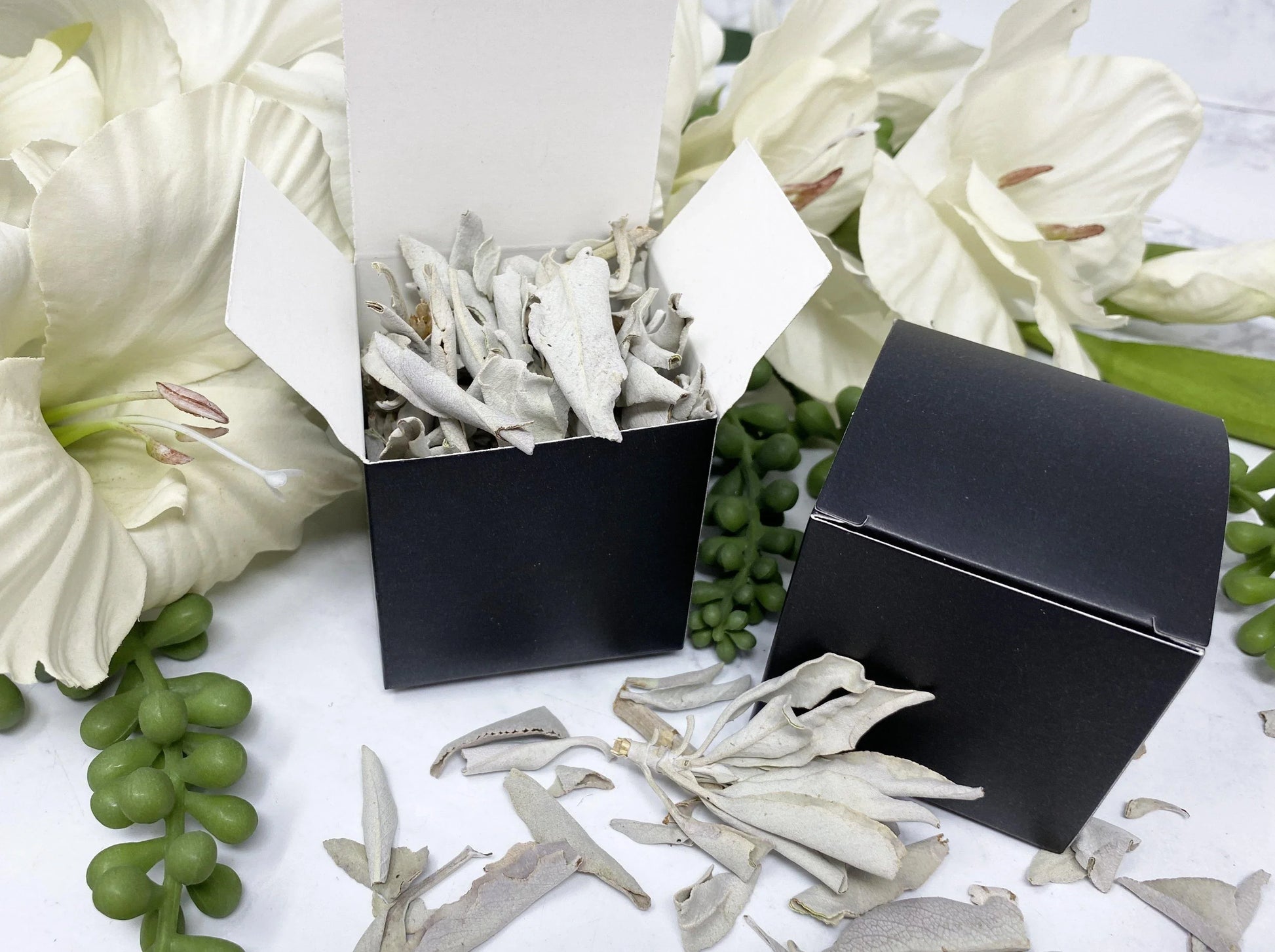 White Sage Smudge Box of Leaves