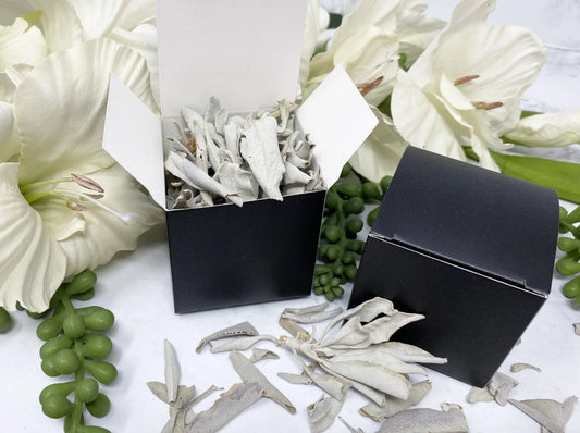 White Sage Smudge Box of Leaves