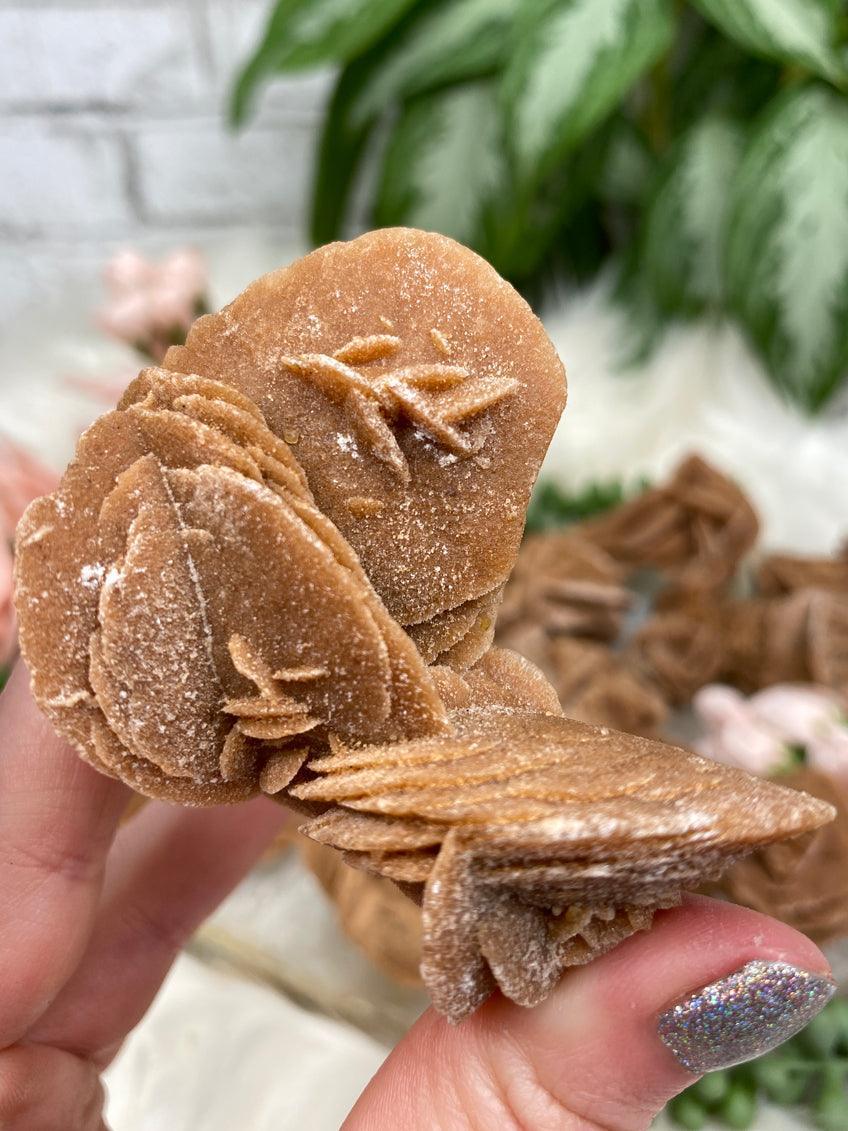 Desert Rose Selenite