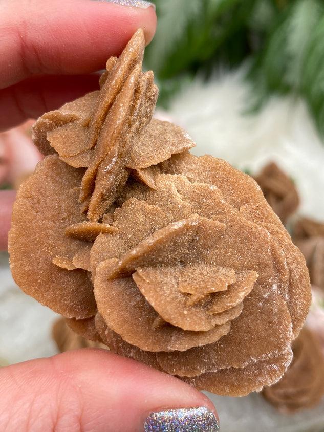 desert-rose-selenite from mexico