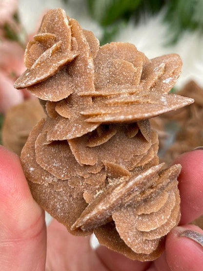 Desert Rose Selenite