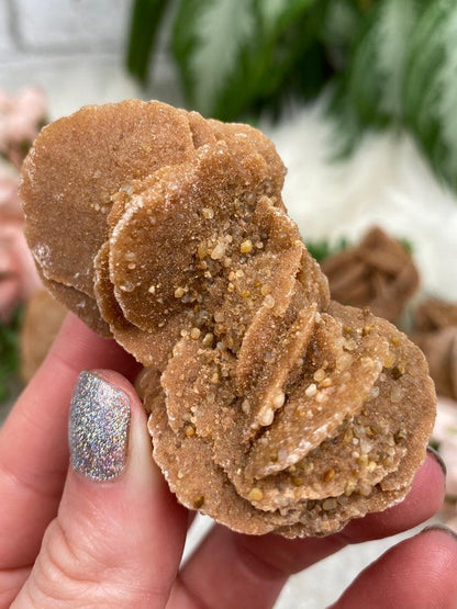 Desert Rose Selenite