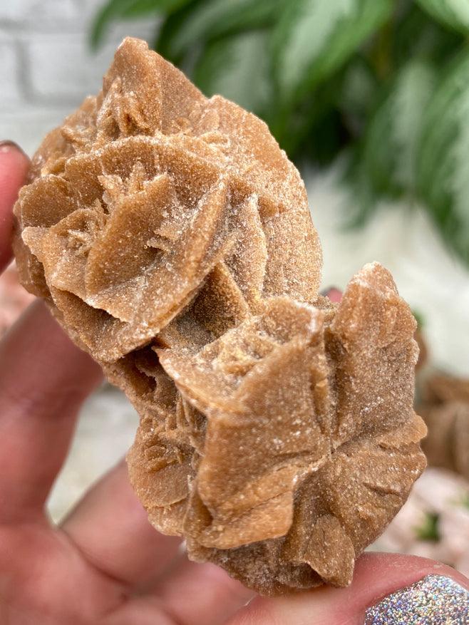 Desert Rose Selenite