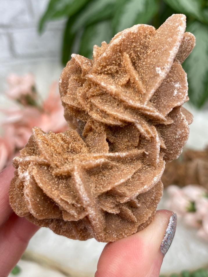 desert-rose-selenite-crystal