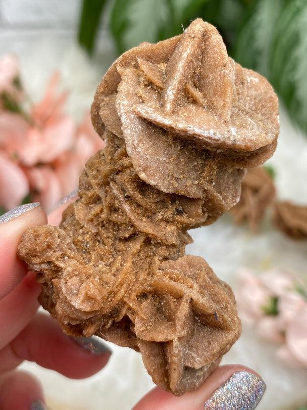 desert-rose-selenite-crystal