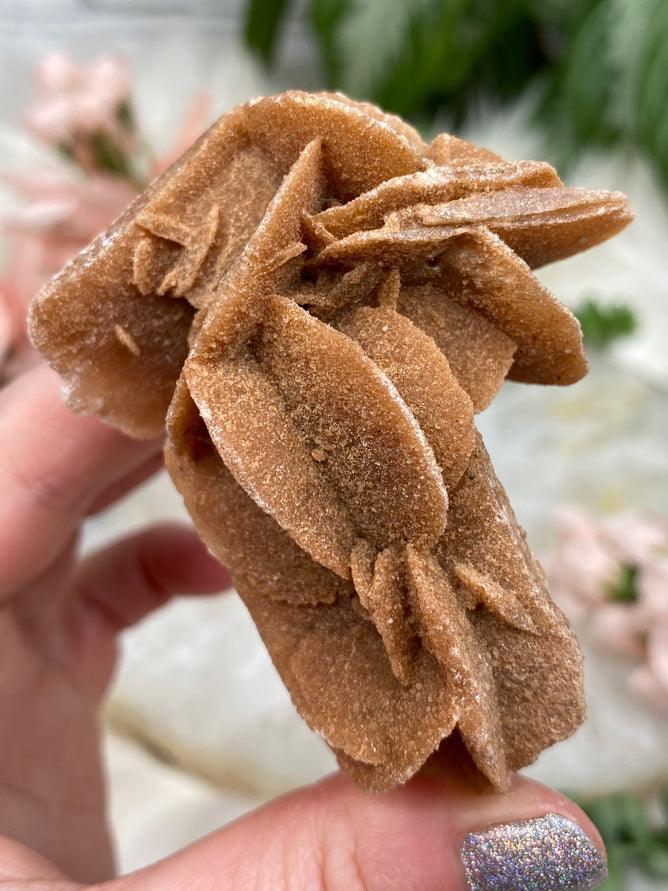 desert-rose-cluster-for-sale