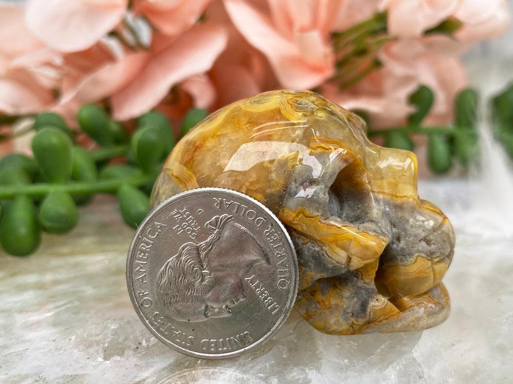 crazy-lace-agate-skull-crystal-carvings