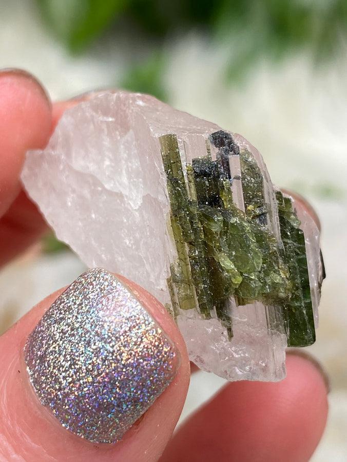 Mixed Tourmaline in Quartz