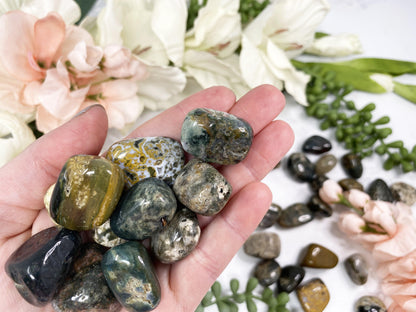 Tumbled Ocean Jasper  Crystals