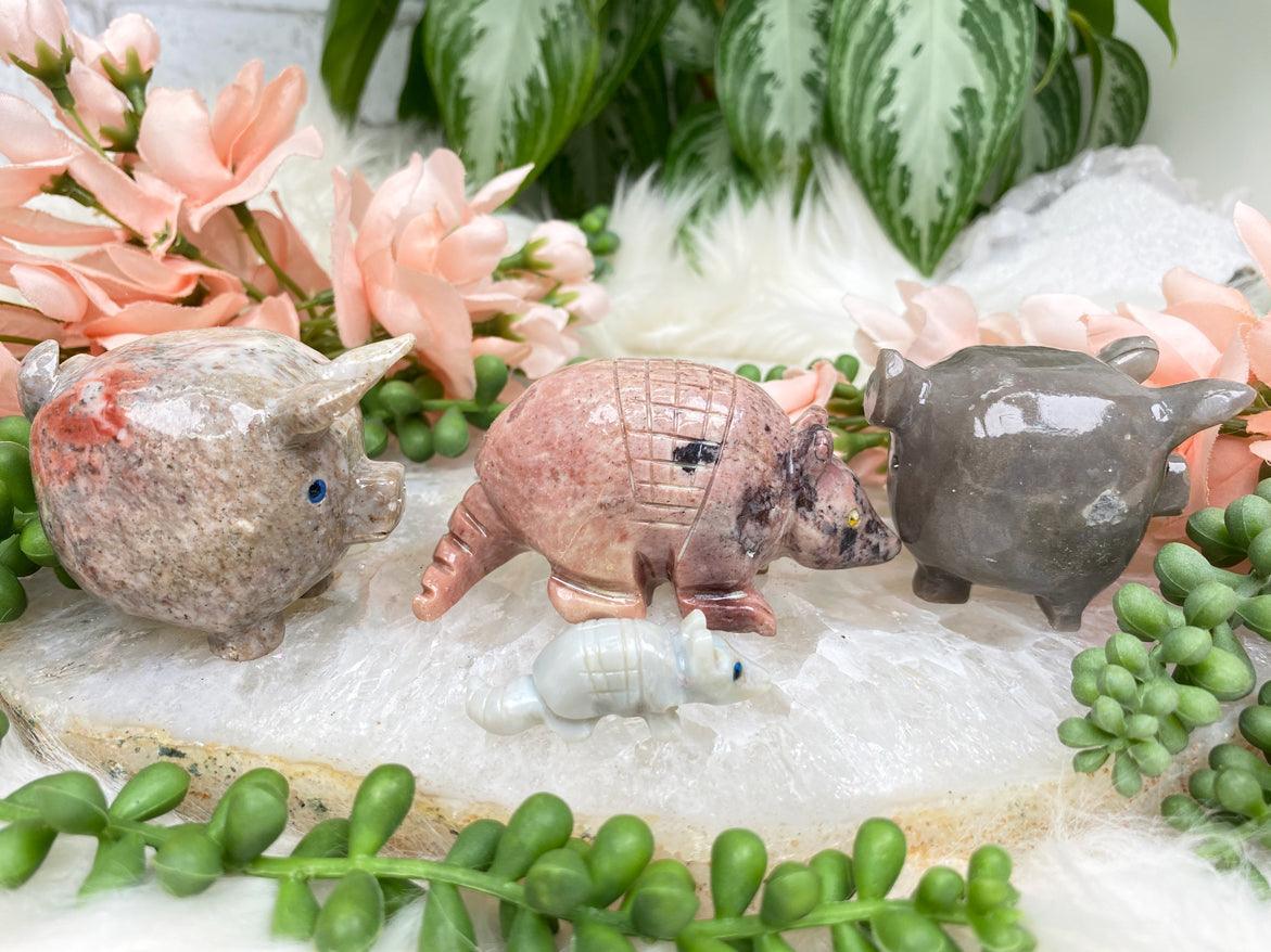 soapstone-armadillos-pigs