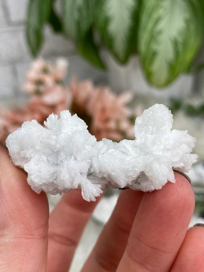 Black Tourmaline White Albite