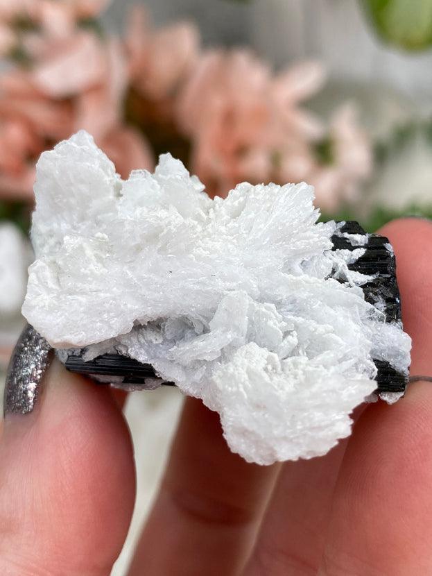 white-mica-around-black-tourmaline